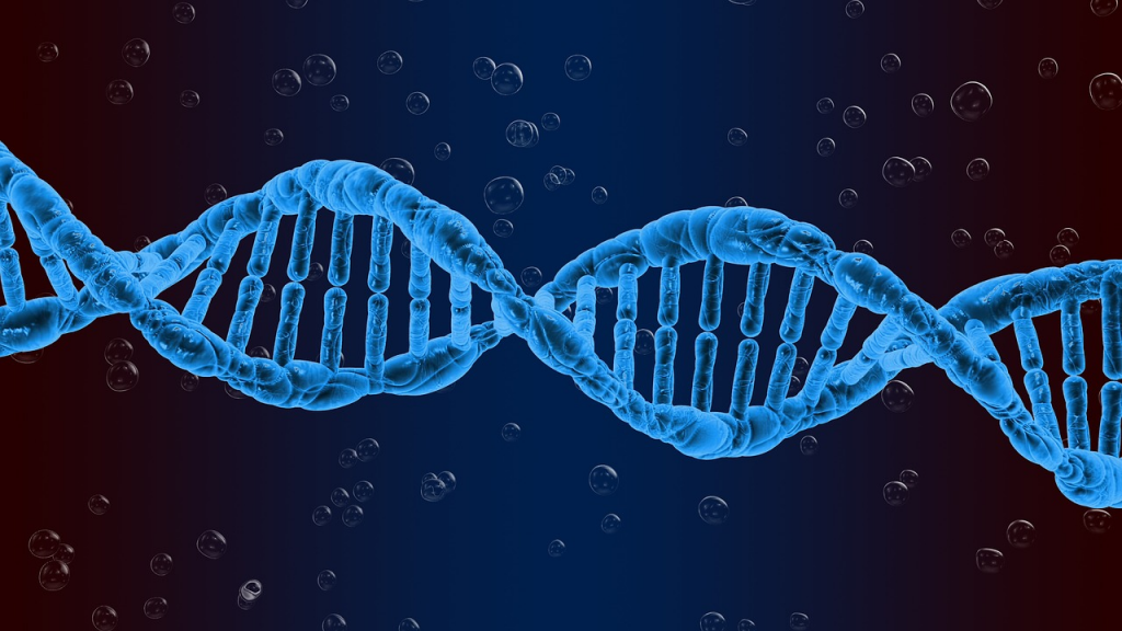 double helix dna