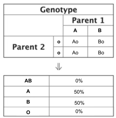 Punnett square illustrating inheritance of blood type