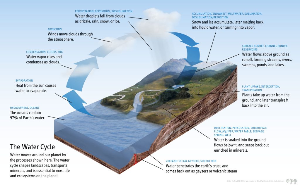 a 3D rendering of the earth surface, with land running down to a large body of water, with arrows showing runoff, evaporation, condensation and precipitation