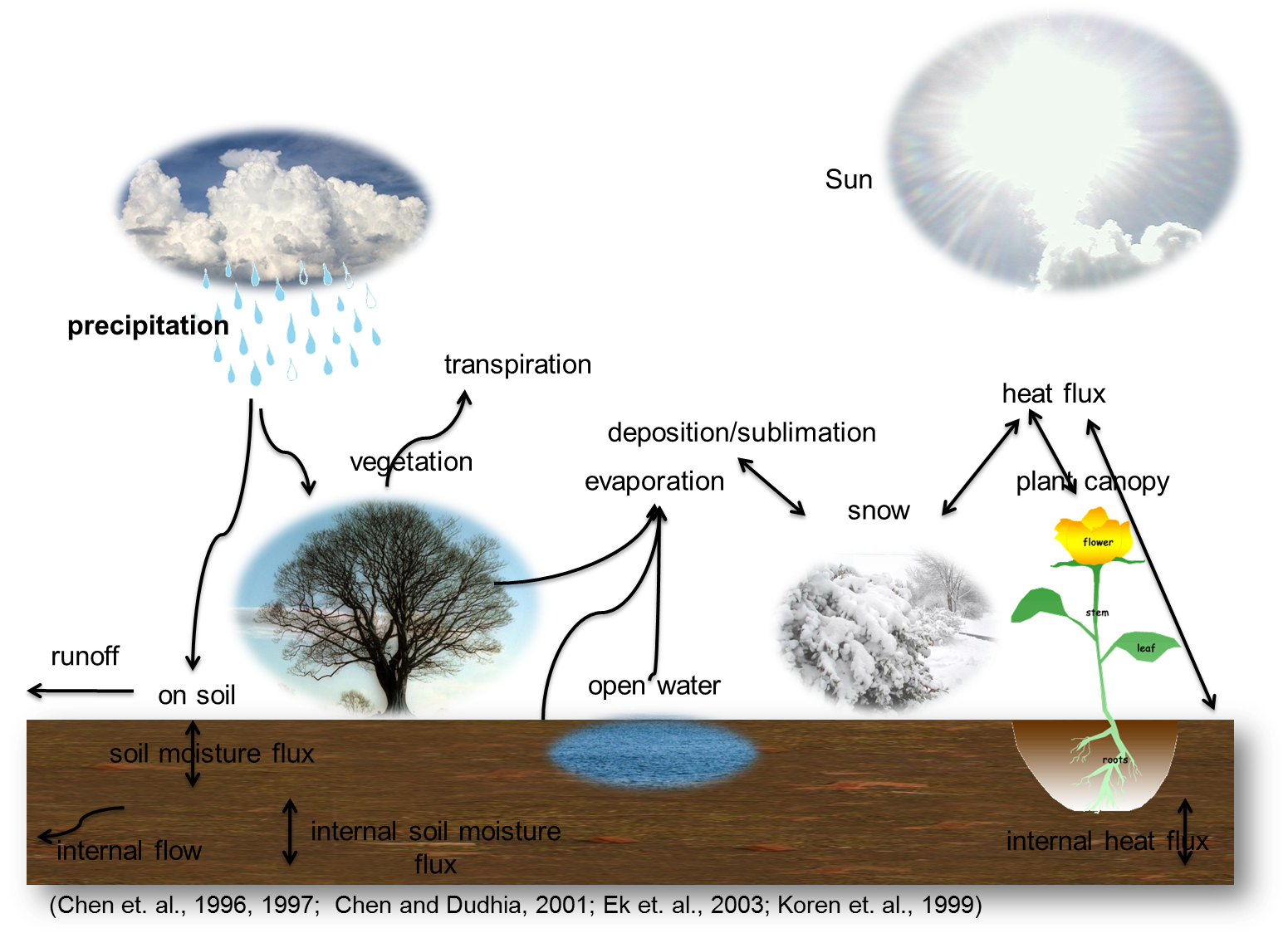 A picture of ground with plants and ponds and arrows showing how water moves from the clouds to the plants and ground and back