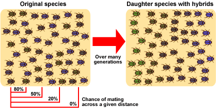 reproductive isolation speciation
