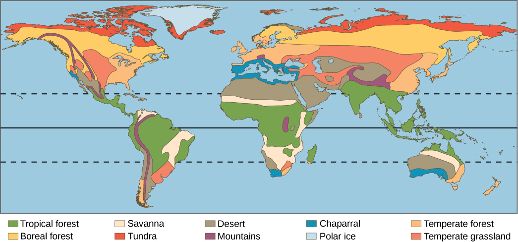 What are the 9 types of terrestrial biomes on Earth? – killerinsideme.com