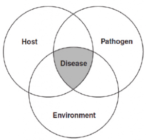 This image of the epidemiological triad shows how the three factors overlap to lead to disease