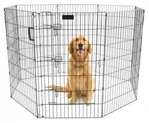 Image of a dog in a ex-pen.