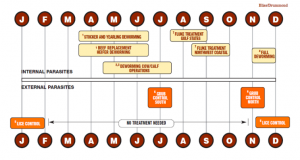 Diagram of monthly schedule for strategic control of internal and external parasites.