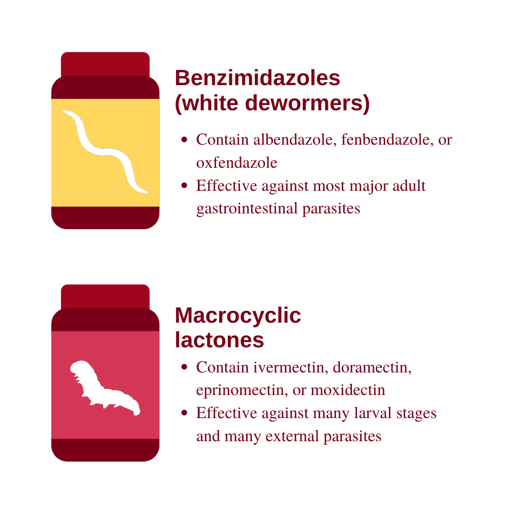 Types of Dewormers