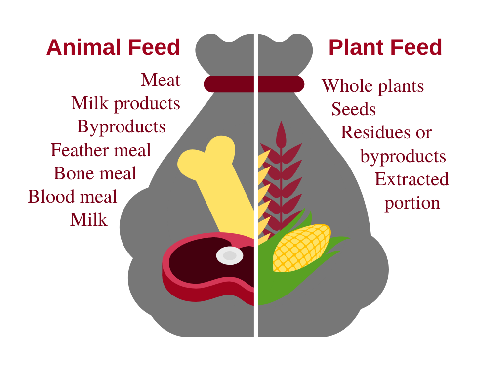 Animal vs Plant-Based Feed Illustration
