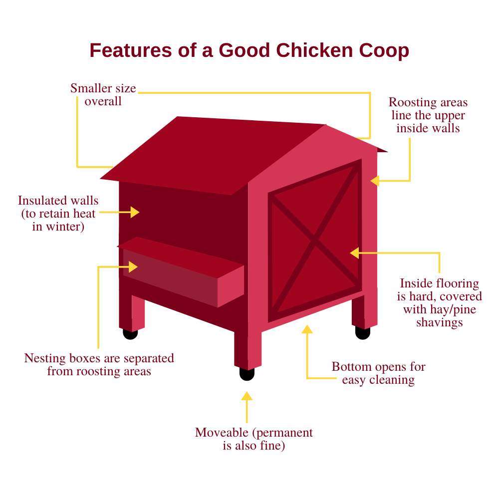 Features of a Good Chicken Coop