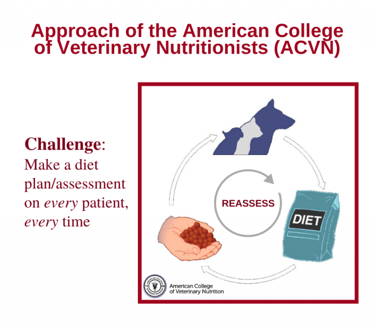 Nutrition Basics Veterinary Preventive Medicine