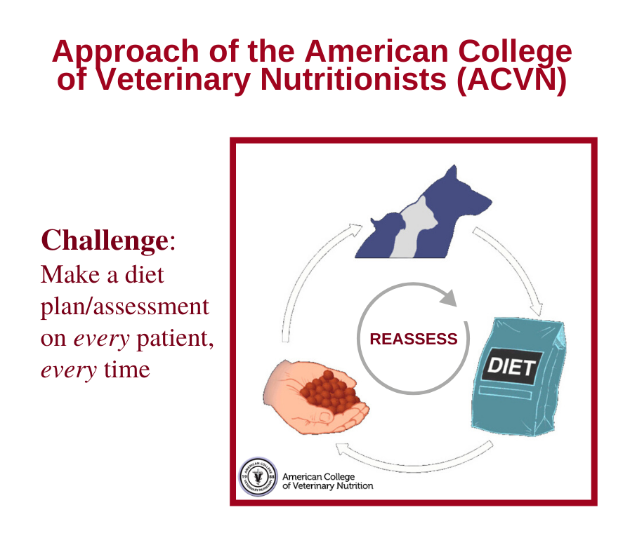 Rules for proper animal nutrition - La Meccanica