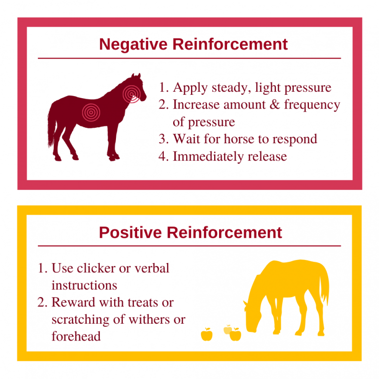 negative reinforcement examples in dog training