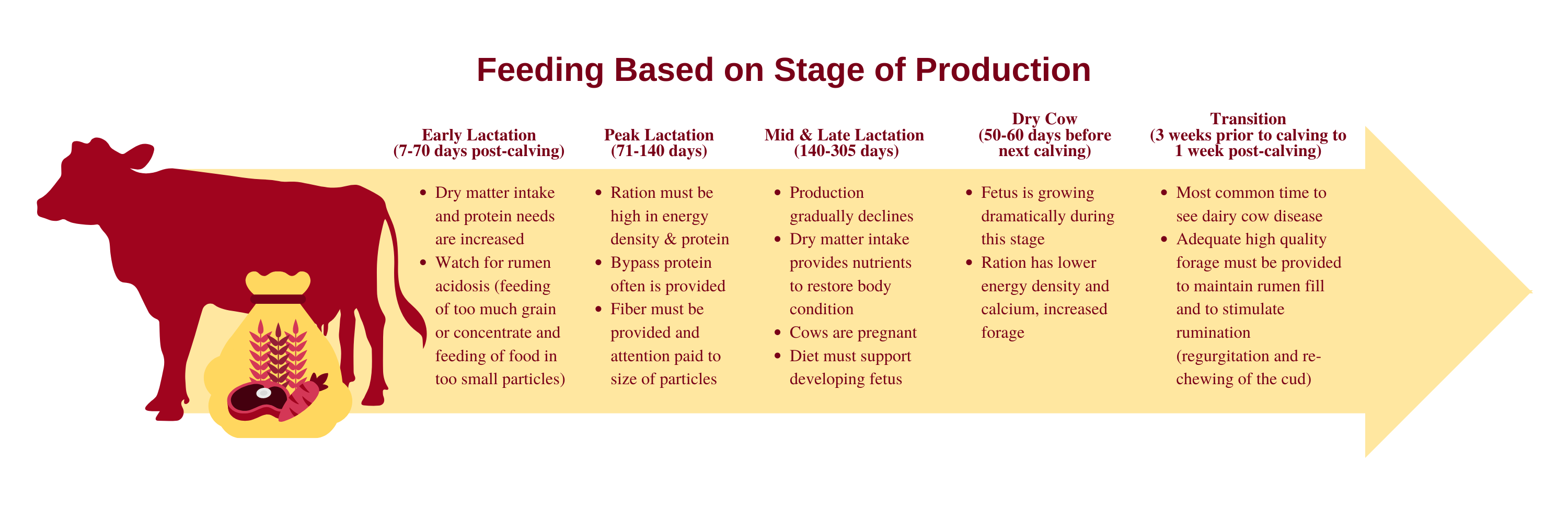 Feeding Based on Stage of Production Graphic