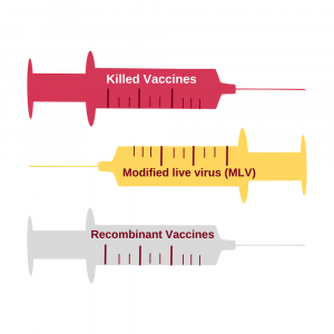 Types of Vaccines Illustration