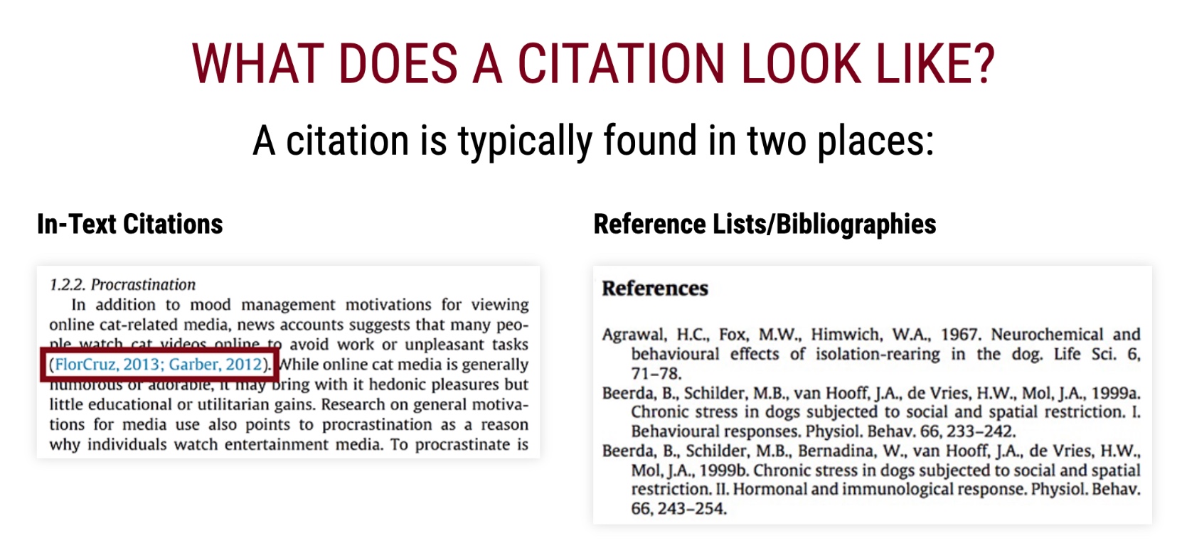 citation means that a particular paper is being