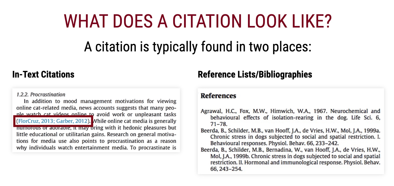 citation of an essay definition