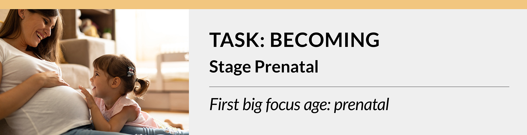 Task Becoming – Stage Prenatal- first big focus age – prenatal