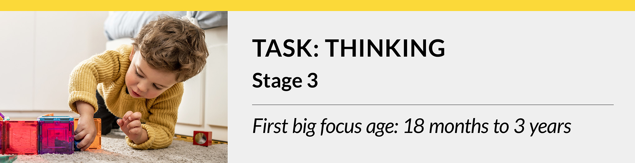 Task: Thinking. Stage 3. First big focus age: 18 months to 3 years.