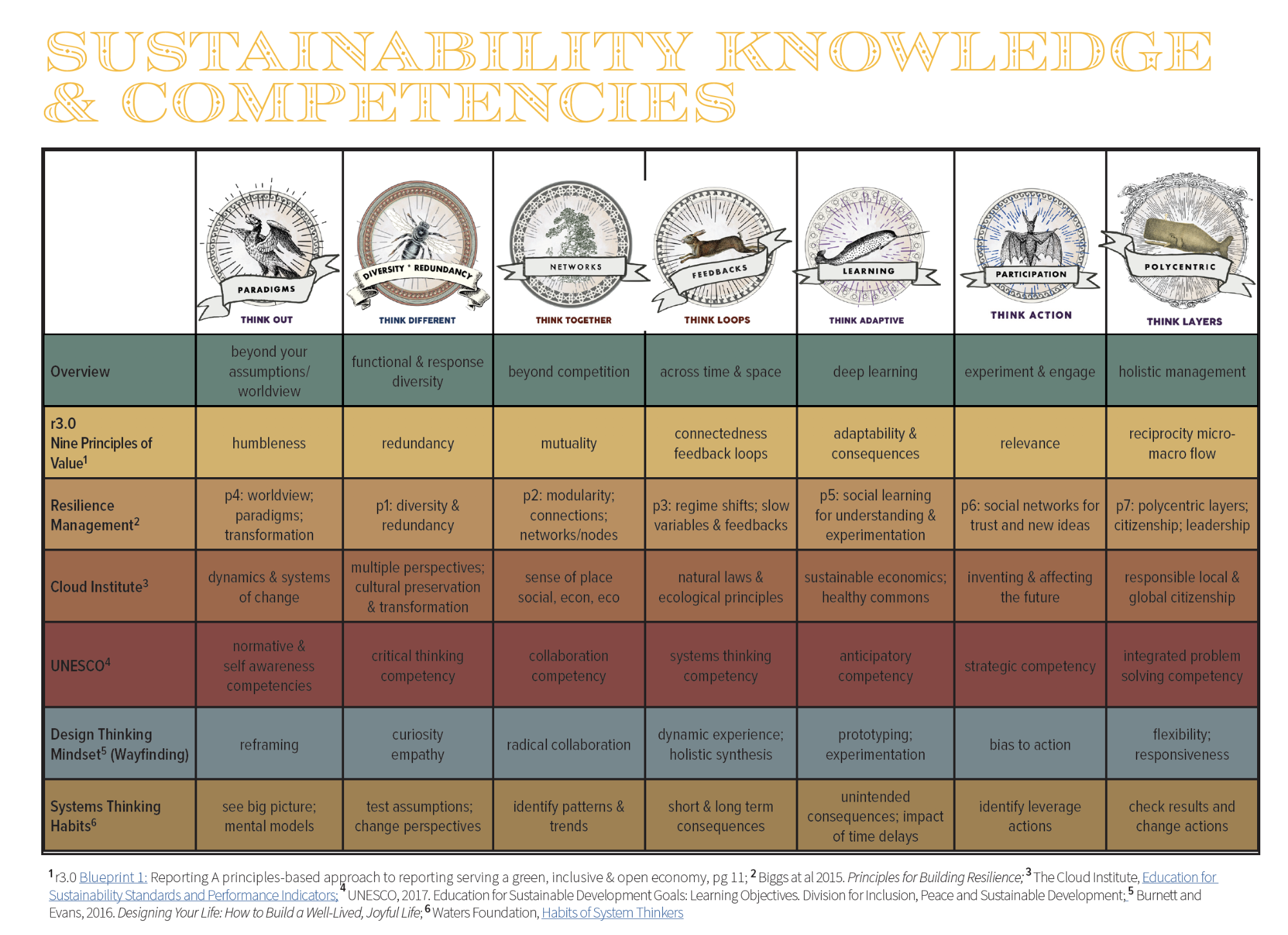 A table of sustainability knowledge and competencies, compiled from core teachings.
